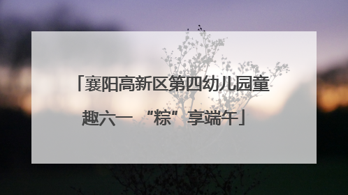 襄阳高新区第四幼儿园童趣六一 “粽”享端午